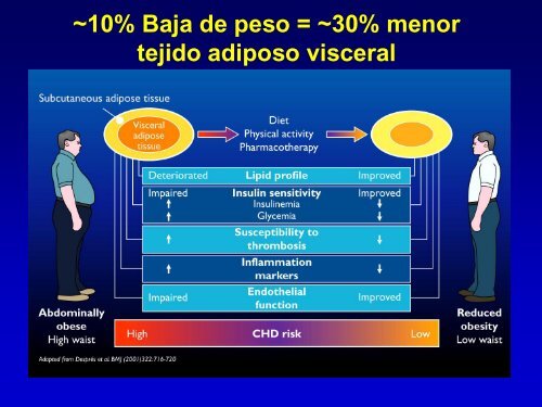 Metabolismo de Lipoproteinas y Colesterol