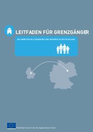 LEITFADEN FÜR GRENZGÄNGER - CNS