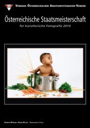 für künstlerische Fotografie 2010 - Die Fotosektion des SK VÖEST