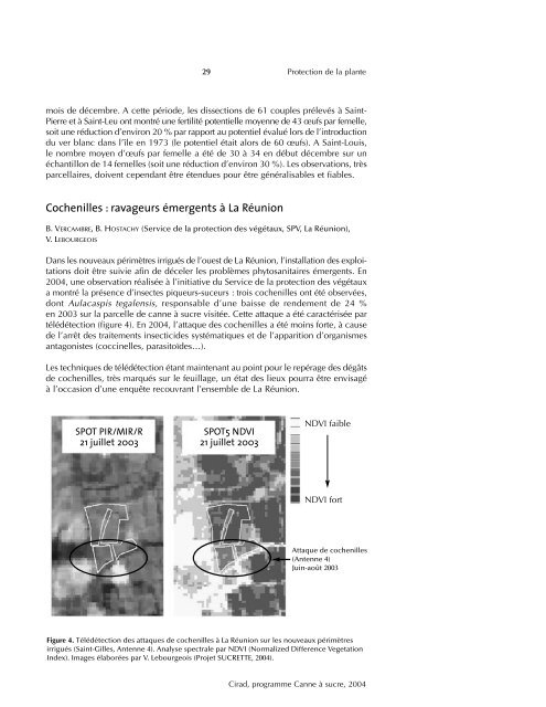 RapCas2004 Fr - Sucre Ethique