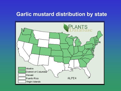 Biological Control of Garlic Mustard