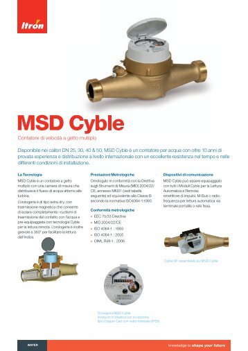 MSD Cyble - Itron