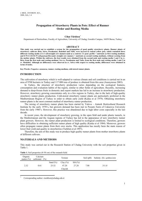 Propagation of Strawberry Plants in Pots: Effect of Runner Order and ...