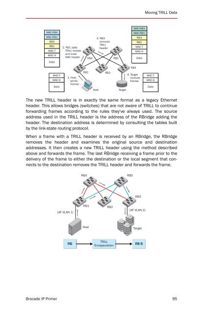 BROCADE IP PRIMER