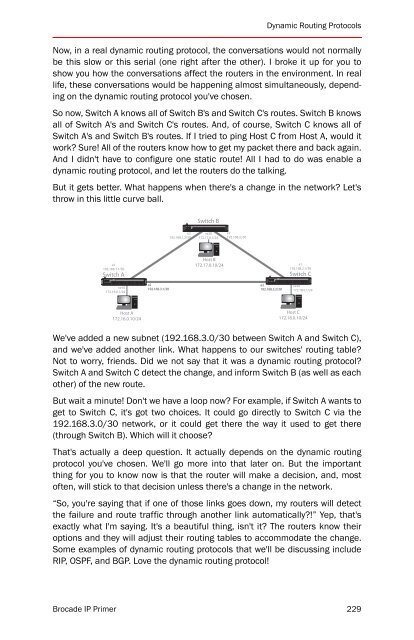 BROCADE IP PRIMER