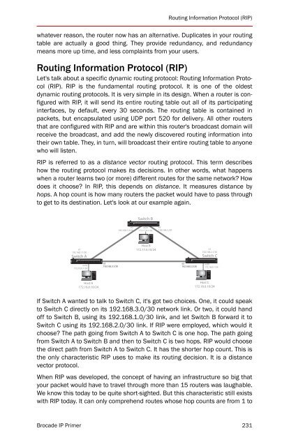 BROCADE IP PRIMER