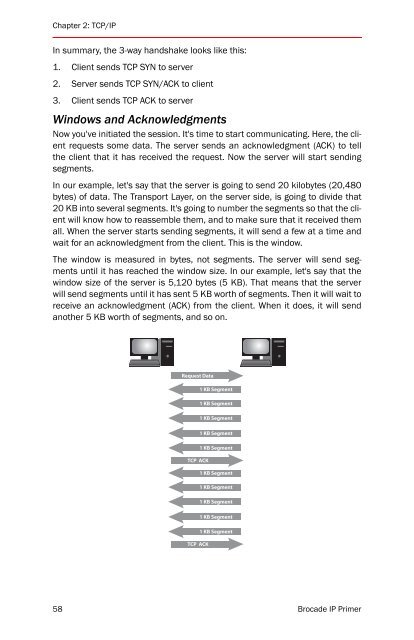 BROCADE IP PRIMER