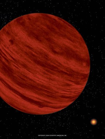 The Discovery of Brown Dwarfs - Scientific American Digital