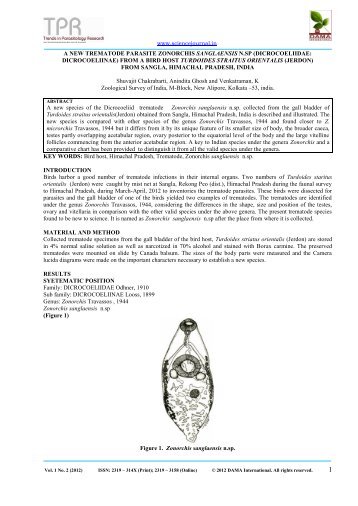 a new trematode parasite zonorchis sanglaensis ... - sciencejournal.in