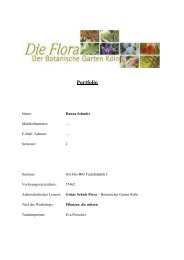 Portfolio - Fachdidaktik Biologie Uni Köln Gymnasien und ...