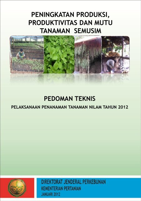 Pengertian tanaman semusim
