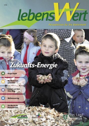 Zukunfts-Energie - Landentwicklung - Steiermark