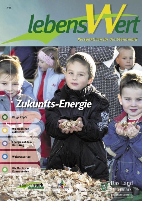 Zukunfts-Energie - Landentwicklung - Steiermark