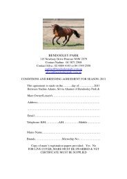 BENDOOLEY PARK - Horsezone