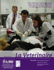LSU Veterinary Teaching Hospital offers ground-breaking treatment ...