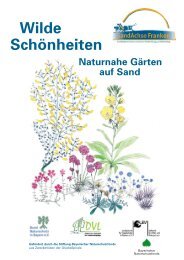 Naturnahe Gärten auf Sand - Projekt SandAchse