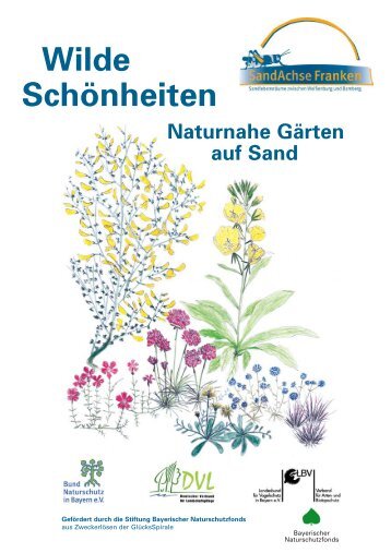 Naturnahe Gärten auf Sand - Projekt SandAchse