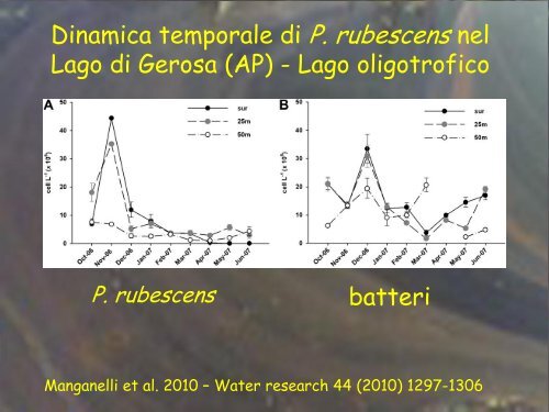 Ecologia dei principali cianobatteri tossici (Manganelli) - Istituto ...