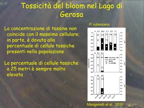 Ecologia dei principali cianobatteri tossici (Manganelli) - Istituto ...