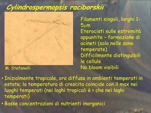 Ecologia dei principali cianobatteri tossici (Manganelli) - Istituto ...