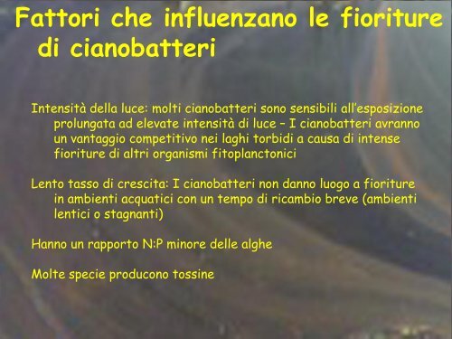 Ecologia dei principali cianobatteri tossici (Manganelli) - Istituto ...