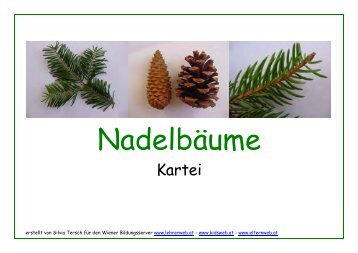 Nadelbäume - Lehrerweb