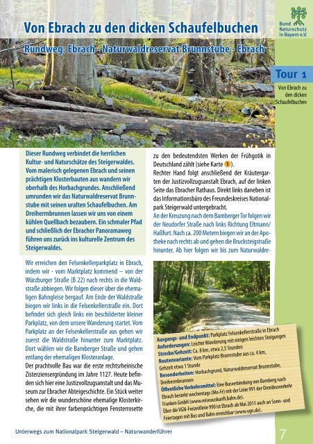 Von Ebrach zu den dicken Schaufelbuchen - Nationalpark Steigerwald
