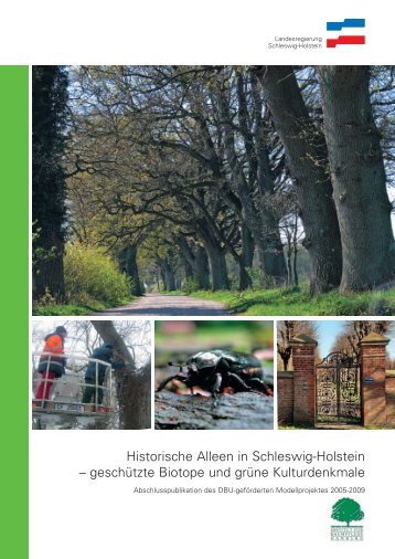 Historische Alleen in Schleswig-Holstein - Landesamt für ...
