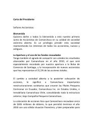 Carta del Presidente Señores Accionistas ... - Camanchaca