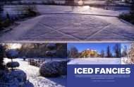 Article in House and Gardens - James Alexander-Sinclair