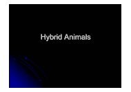 Hybrid Animal Powerpoint