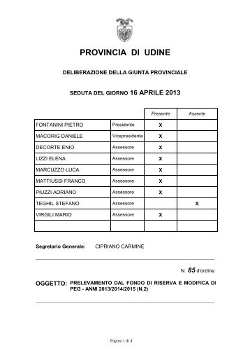 PROVINCIA DI UDINE