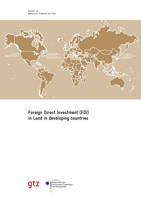 Foreign Direct Investment (FDI) in Land in developing countries