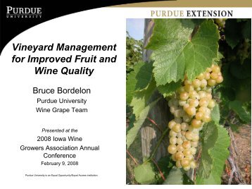 Vineyard Management for Improved Fruit and Wine Quality