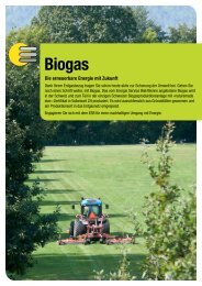 Biogas - ESB