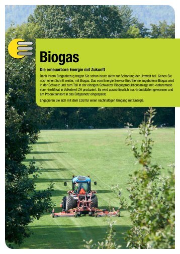 Biogas - ESB