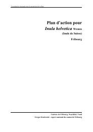 Plan d'action pour Inula helvetica WEBER