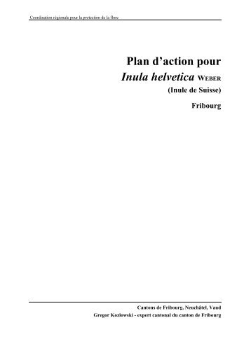 Plan d'action pour Inula helvetica WEBER