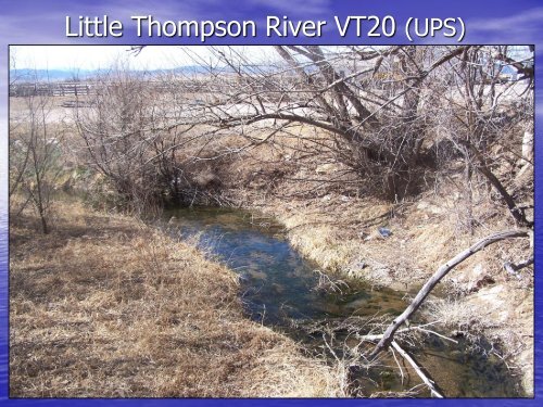 CSU CIVE 539 Guest Lecture - Big Thompson Watershed Forum