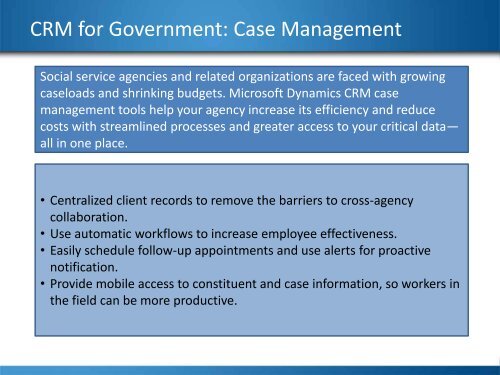 Microsoft Dynamics CRM In Government