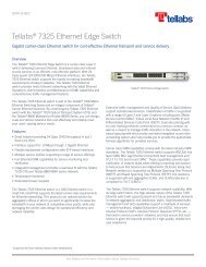 Tellabs 7325 Ethernet Edge Switch - Moonblink