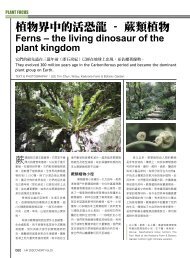 植物界中的活恐龍– 蕨類植物 - Kadoorie Farm & Botanic Garden