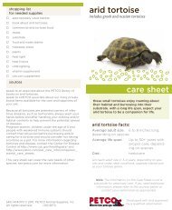 arid tortoise care sheet - Petco