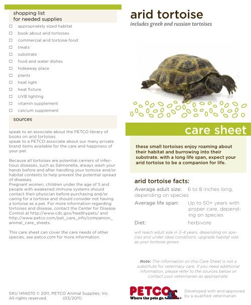 Greek tortoise on sale diet list