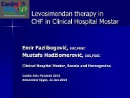 Levosimendan therapy in CHF in Clinical Hospital Mostar