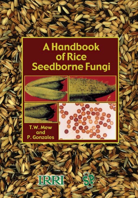 A Handbook of Rice Seedborne Fungi TW Mew and P ... - IRRI books