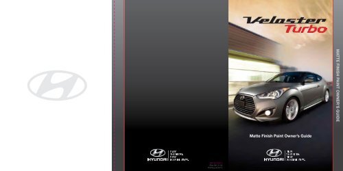 Matte Finish Paint >> Ma Tte Finish P Aint Owner S Guide Matte Finish Paint Matte Finish Paint >> Ma Tte Finish P Aint Owner S Guide Matte Finish Paint