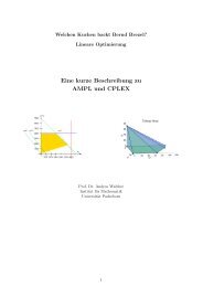 Eine kurze Beschreibung zu AMPL und CPLEX - Institut fÃ¼r ...