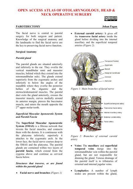 open access atlas of otolaryngology, head & neck operative surgery