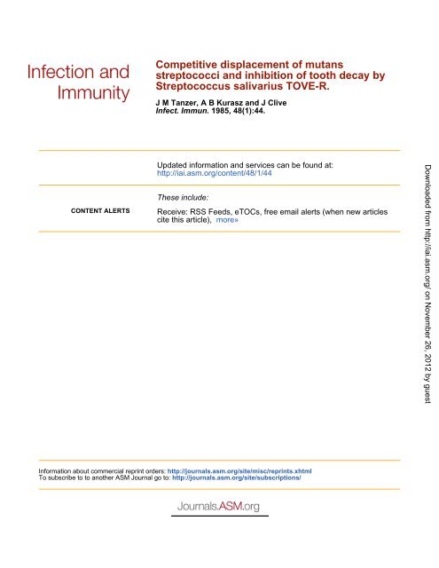 microbewiki-streptoccus-mutans-and-dental-caries-microbewiki